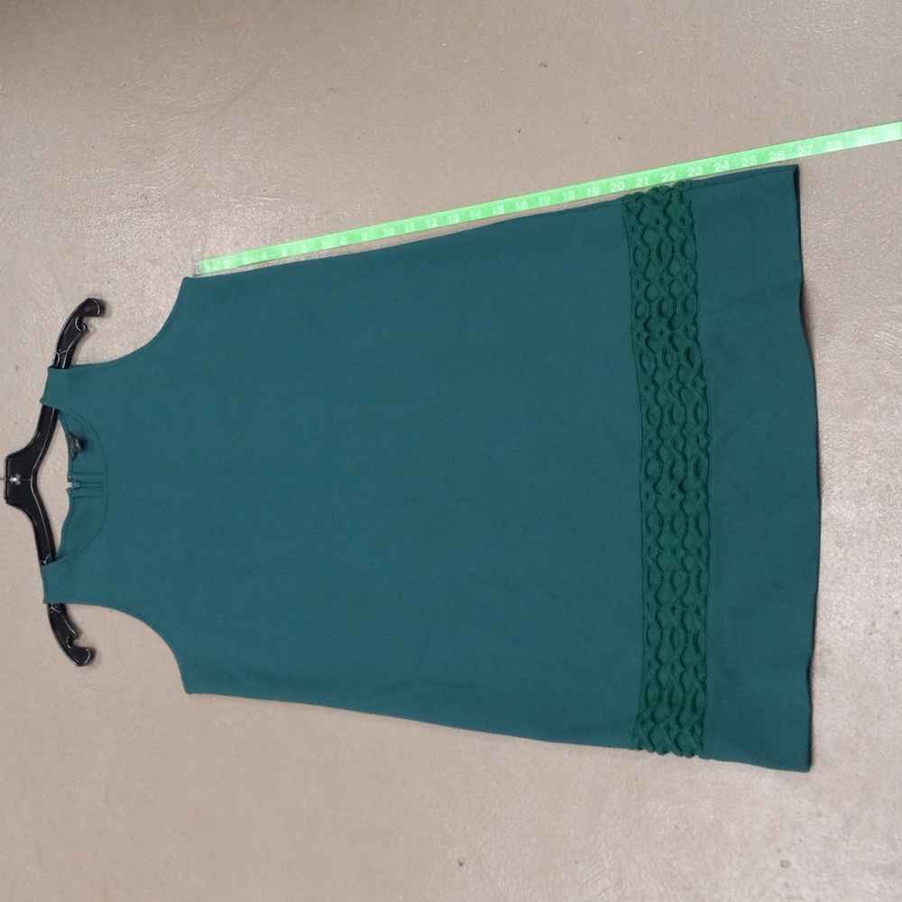 Ann Taylor Petite, Hunter Green, Sleeveless, Embroidered, Zip Back Dress - Picture 6 of 11